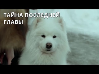 ЗАХВАТЫВАЮЩИЙ ДЕТЕКТИВНЫЙ ТРИЛЛЕР! Тайна последней главы. Все Серии. Лучшие сериалы