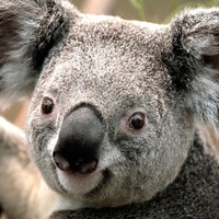 Андрей Семакин | Глазов