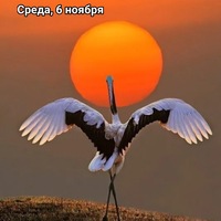 Наталья Корешкова | Верхняя Пышма