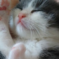 Елена Ромашкина | Мурманск