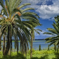 Екатерина Лопатина | Уфа