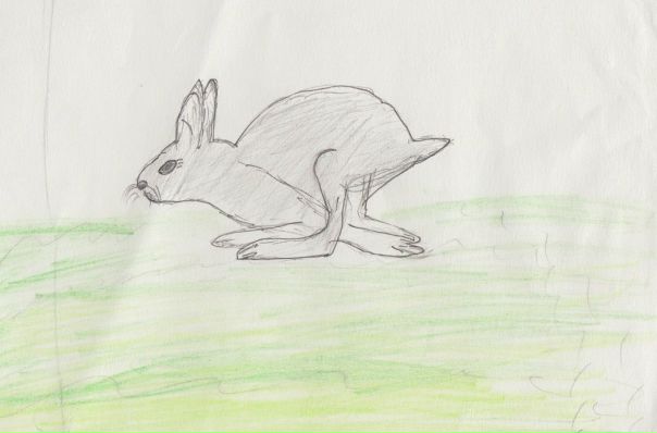 №1, Эльза Касторкина, Gabú №1, Эльза Касторкина, Gabú