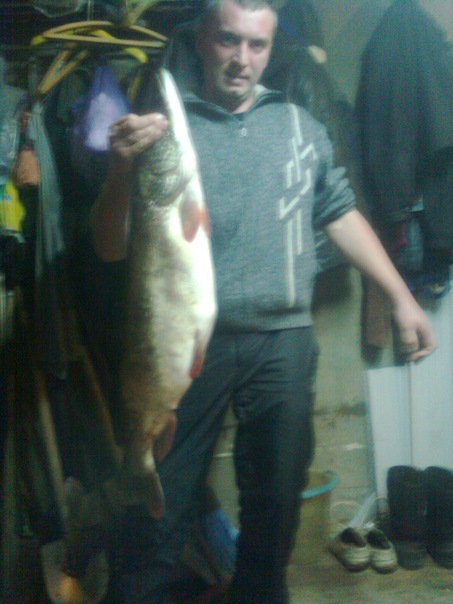 №36, Антон Фёдоров, 07.11.1985, Харьков №36, Антон Фёдоров, 07.11.1985, Харьков