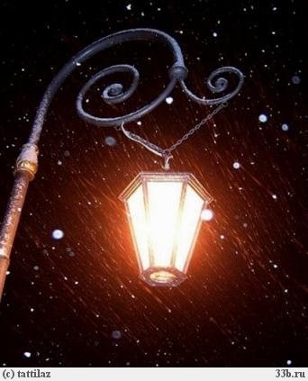 №17, Наталія Арендацька, Ужгород №17, Наталія Арендацька, Ужгород