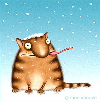 №5, Анастасия Фролова, 35 лет, Кропивницкий / Кировоград №5, Анастасия Фролова, 35 лет, Кропивницкий / Кировоград