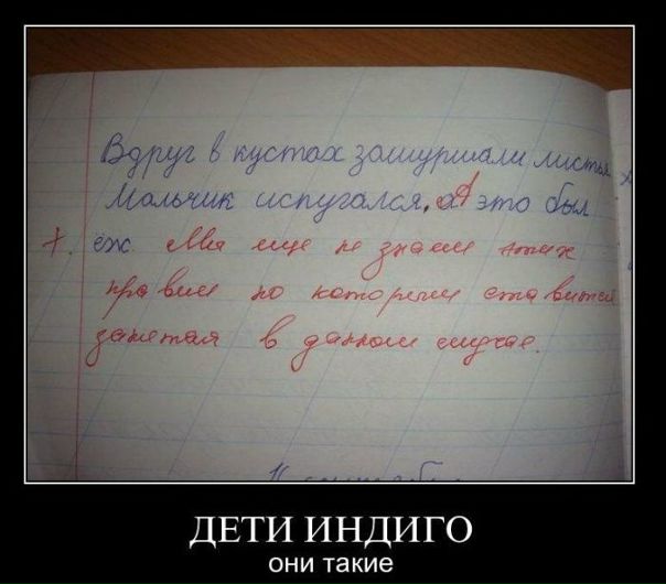 №100, Лидия Прилуцкая, Харьков №100, Лидия Прилуцкая, Харьков