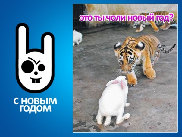 №89, Павел Ходор, 38 лет, Шуя, Россия №89, Павел Ходор, 38 лет, Шуя, Россия