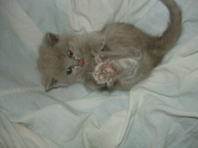 №37, Екатерина Шамыгина, 26 лет, Москва №37, Екатерина Шамыгина, 26 лет, Москва