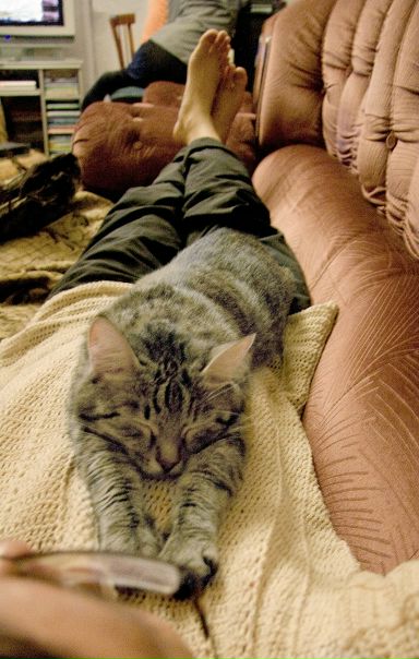 №48, Валерий Ким, Севастополь №48, Валерий Ким, Севастополь