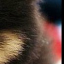 №159, Михаил Войтик, 28 лет, Минск №159, Михаил Войтик, 28 лет, Минск