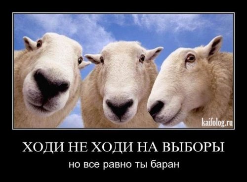 Миша Гординский | Тюмень