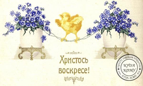 №120, Анатолій Голуб, 69 лет, Киев №120, Анатолій Голуб, 69 лет, Киев