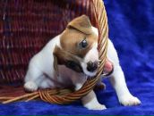 №6 Денис Ерёмин 14.06.1988: профиль, фото, статус - ВКонтакте