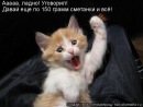 Фотография Бастриковой Лилии