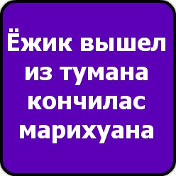 Виктория Витальева | 