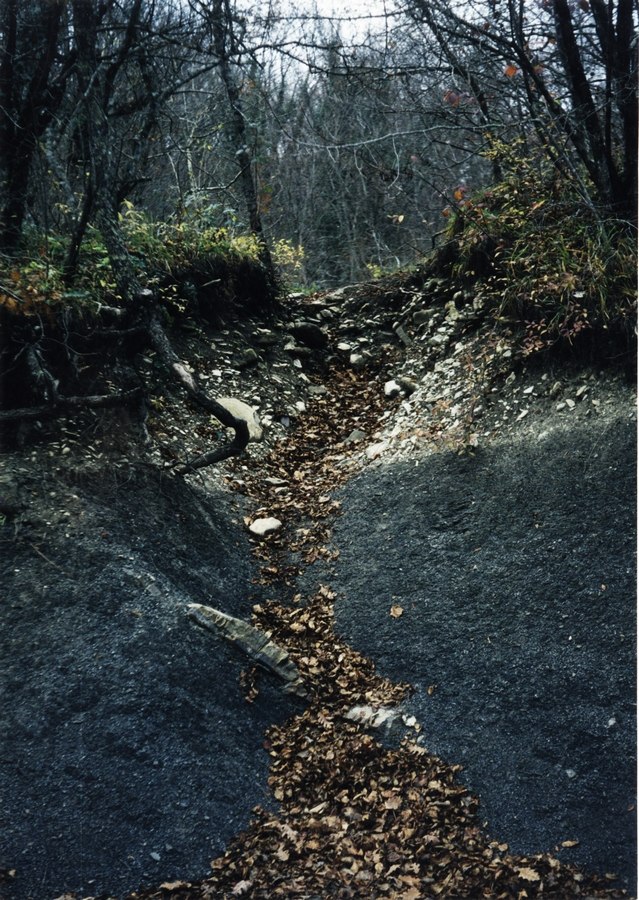 Руслан Беляев Ξ | Санкт-Петербург