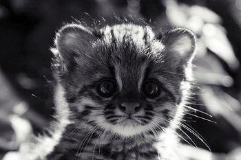 Анастасия Рогова | Москва