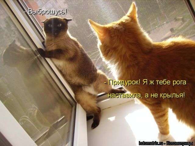 Артем Левченко | Умань