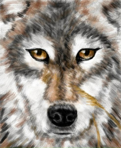 №13, Евгений Агапов, Berlin №13, Евгений Агапов, Berlin