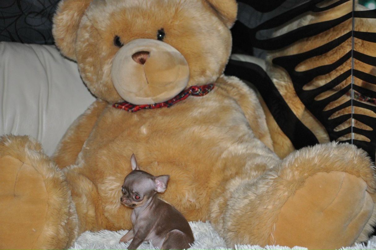 Sveta Shkurko ♛ | Киев