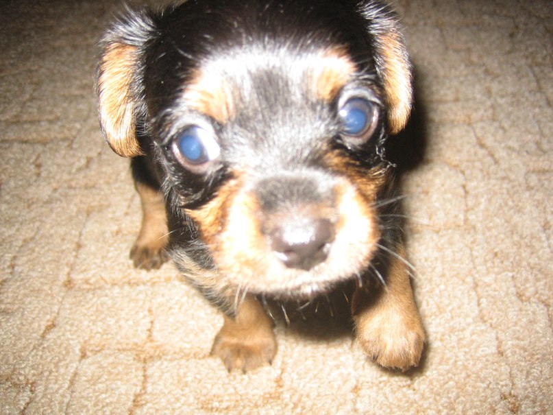 Сережка Новиков | Москва