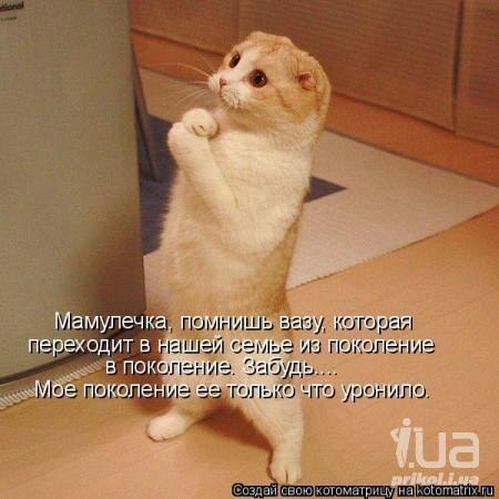 Алексей Лихтарович | Минск