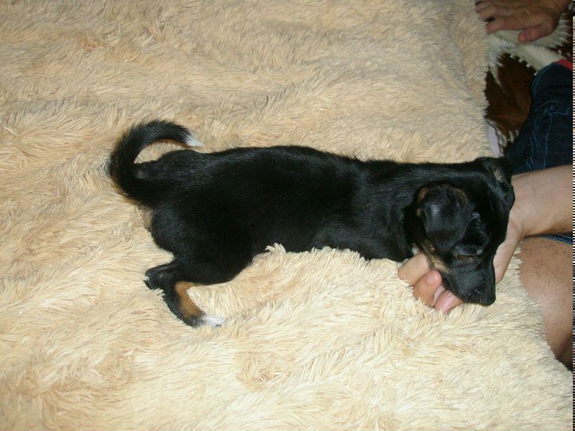 Анна Гуркина ♥♥♥ | Одесса