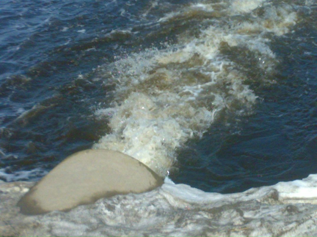 Борис Артелин | Сургут