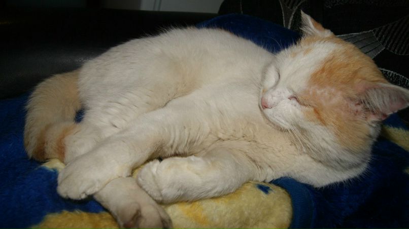 Дмитрий Заливохин | Владимир