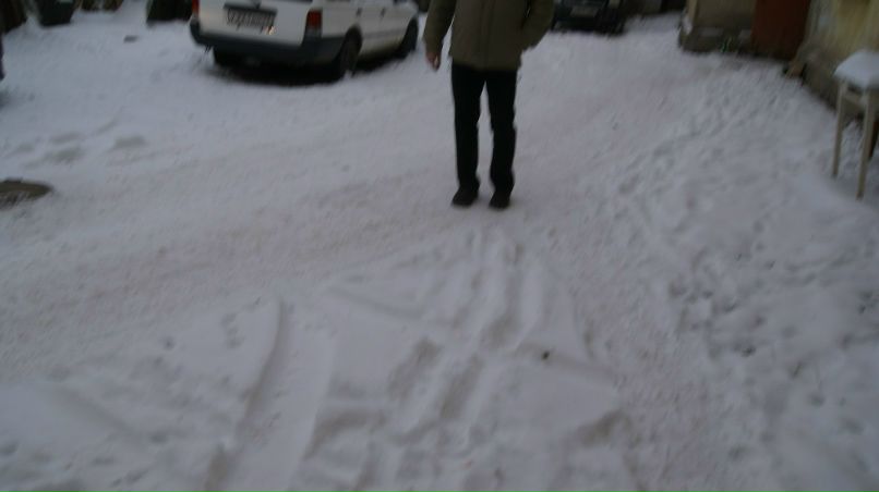 Дмитрий Заливохин | Владимир