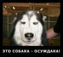 №7 Никитка Воробей 17.01: профиль, фото, статус - ВКонтакте №7 Никитка Воробей 17.01: профиль, фото, статус - ВКонтакте