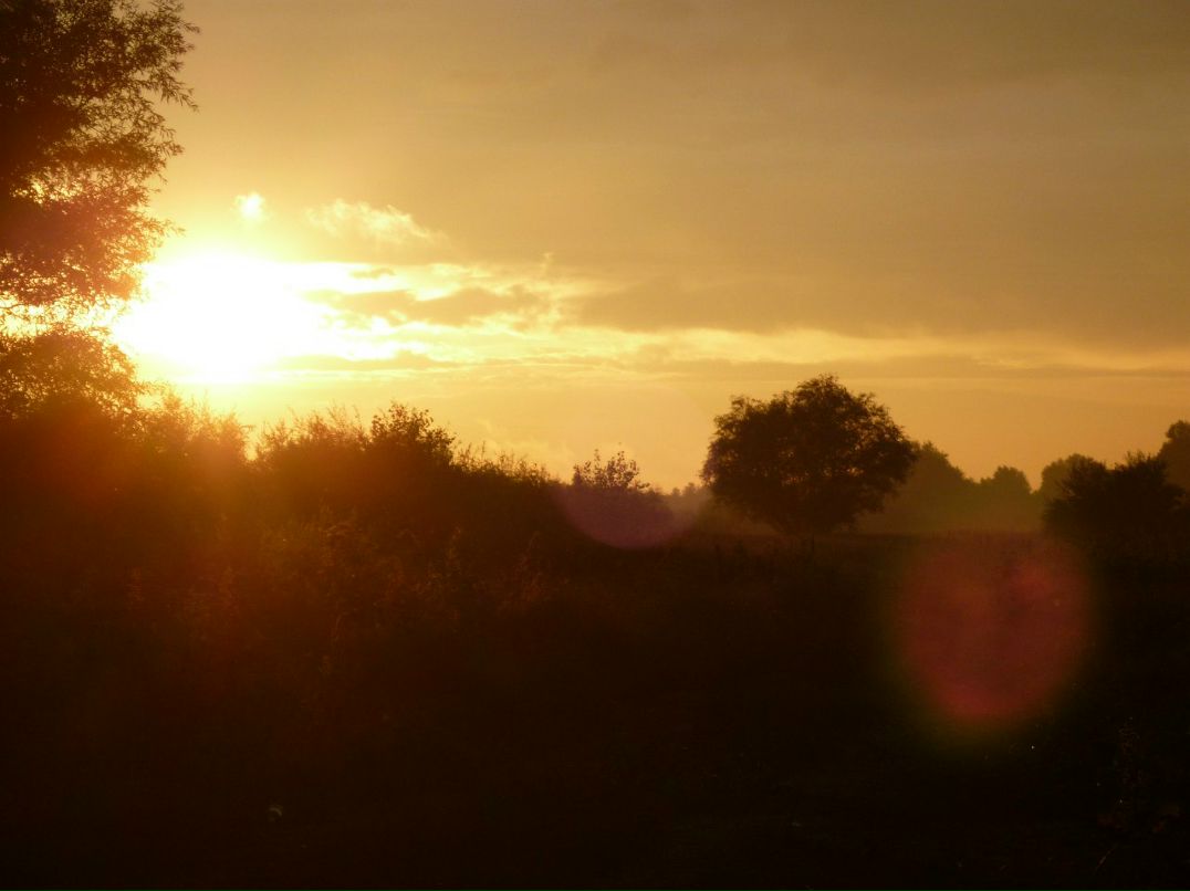 Александер Кузьминский | Воздвиженское