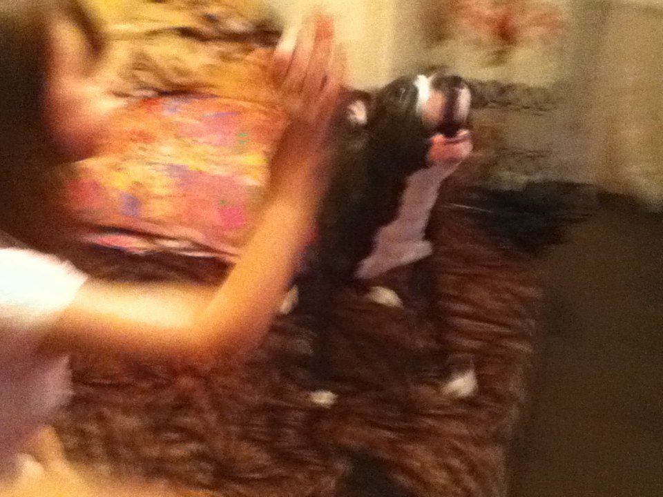 Kat Kan пил и пил | Санкт-Петербург