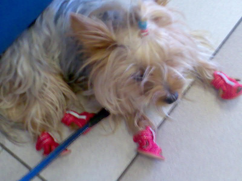 Ольга Герасимова | Санкт-Петербург