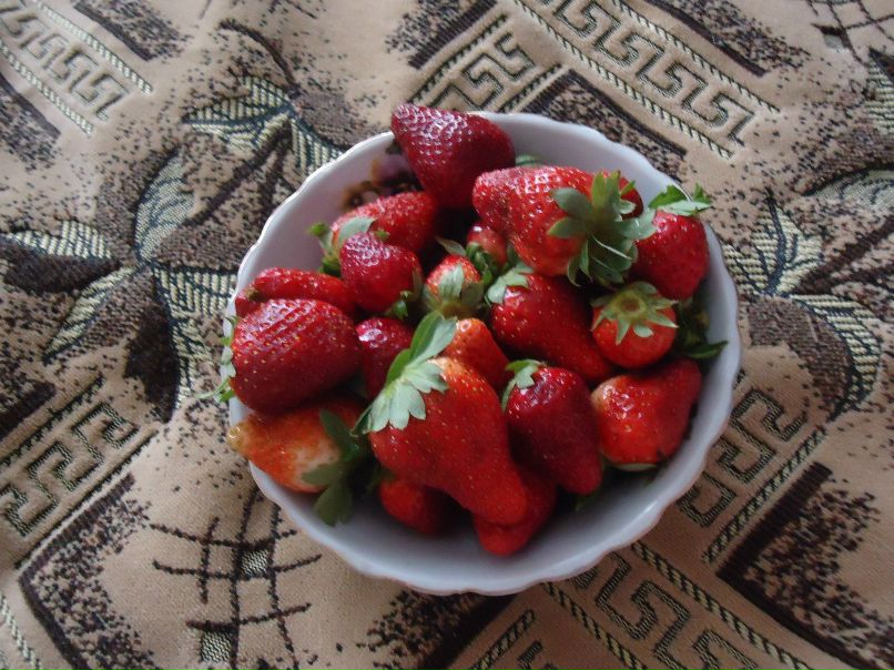 Юлия Майзингер | Магнитогорск