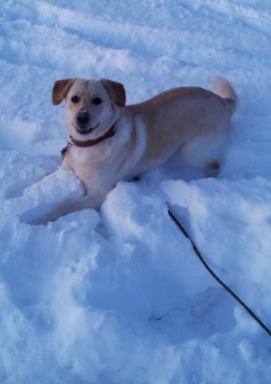 Анвар Манапов | Нижнекамск