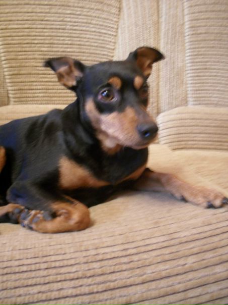 №4, Алёна Корсакова №4, Алёна Корсакова