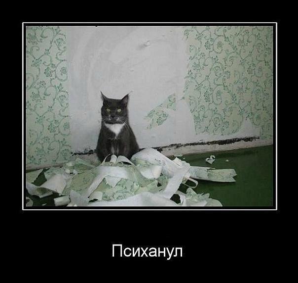 Михаил Басиров | Иркутск