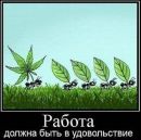 Фотография Андрей Эскин