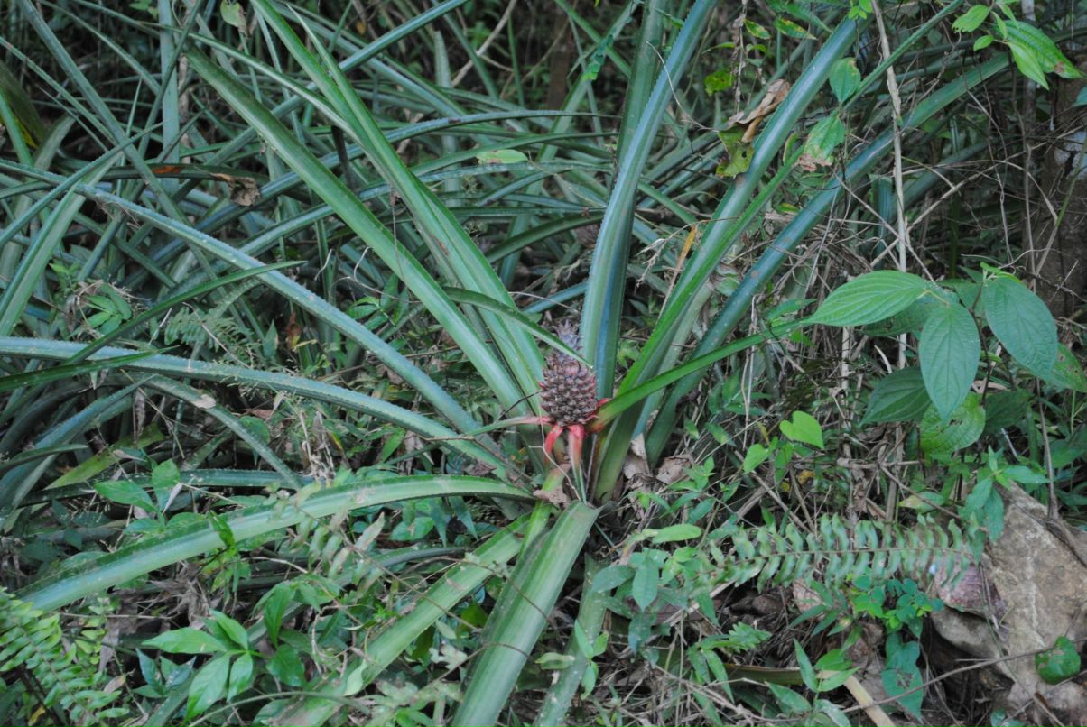 Катарина Буянова | Москва