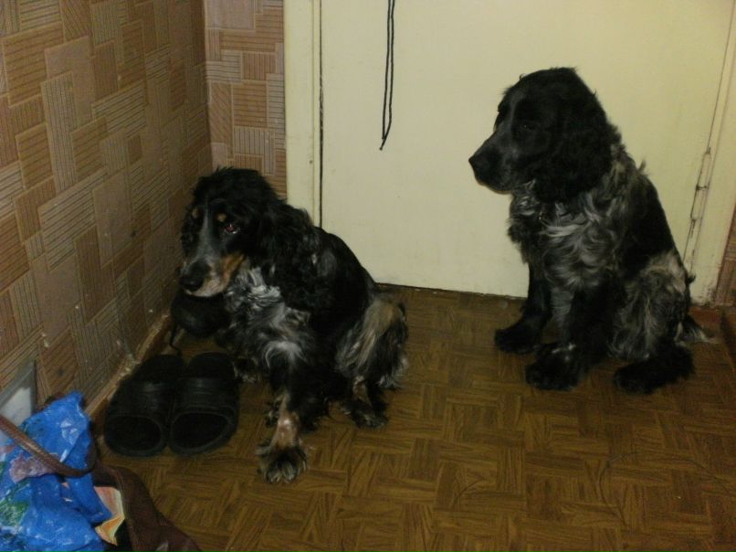 Сергей Митюшин | Санкт-Петербург