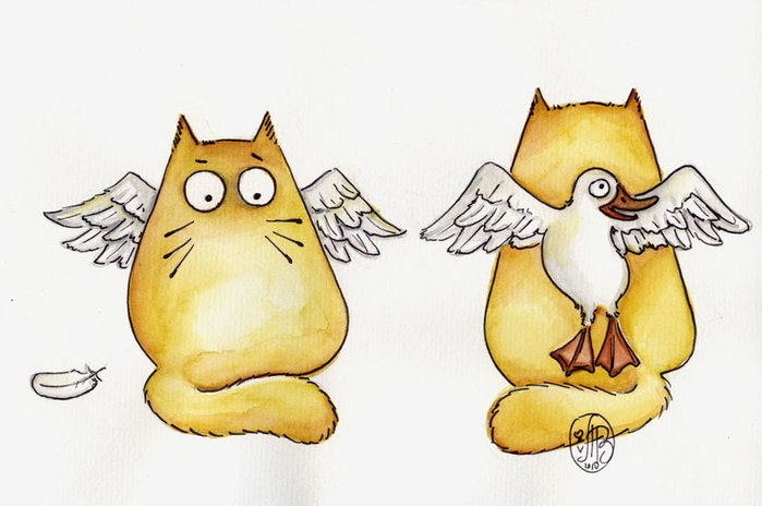 Bla Bla bla | Santiago