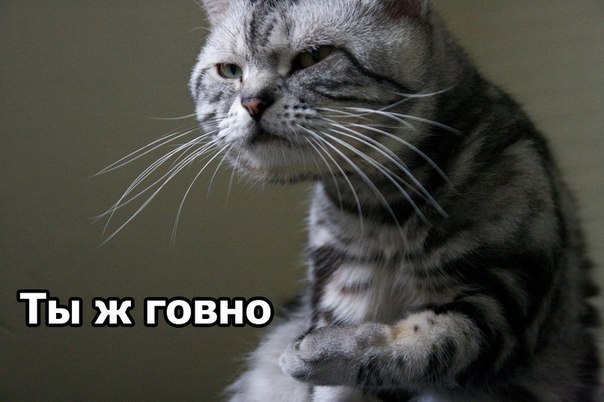 Николай Чистяков | Москва