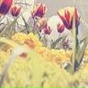 №20 Rachel Cuddy : профиль, фото, статус - ВКонтакте №20 Rachel Cuddy : профиль, фото, статус - ВКонтакте
