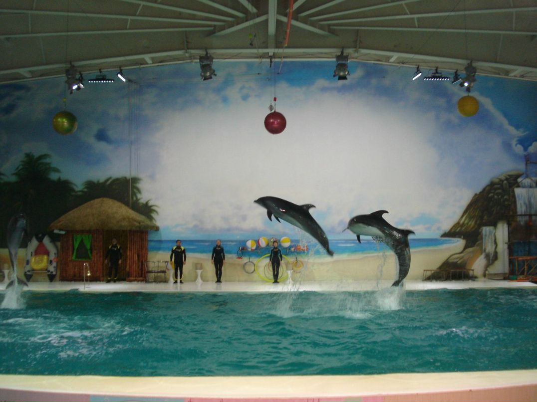 Наталия Метельская | Киев