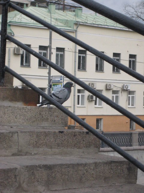 Аня Валуева | Москва