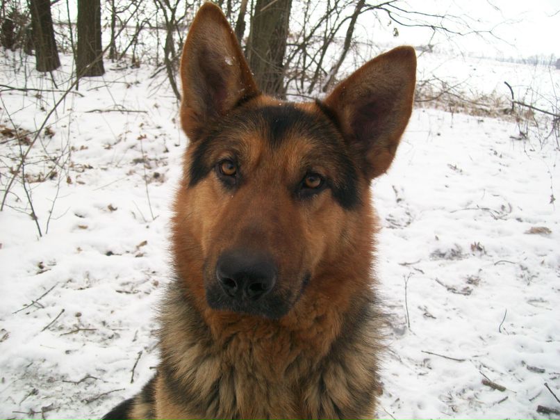 Владислав Сердюченко <VL@Di> | Киев