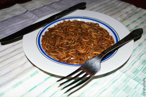 №62, Макс Задорожний, 43 года, Днепр (Днепропетровск) №62, Макс Задорожний, 43 года, Днепр (Днепропетровск)