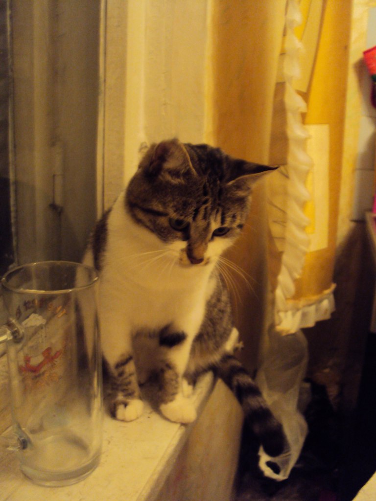 Никита Шелемин Nikito$$ | Южно-Сахалинск