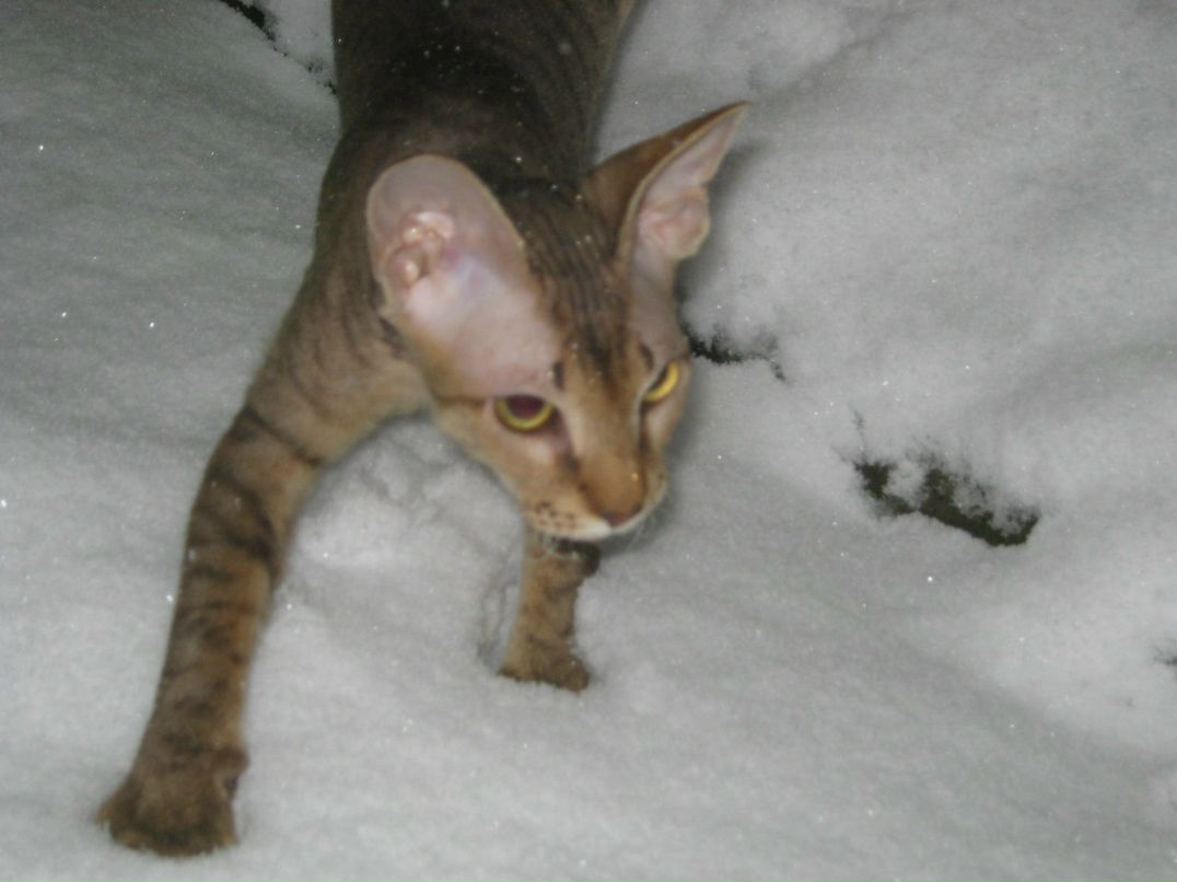 Наталья Загуляева | 